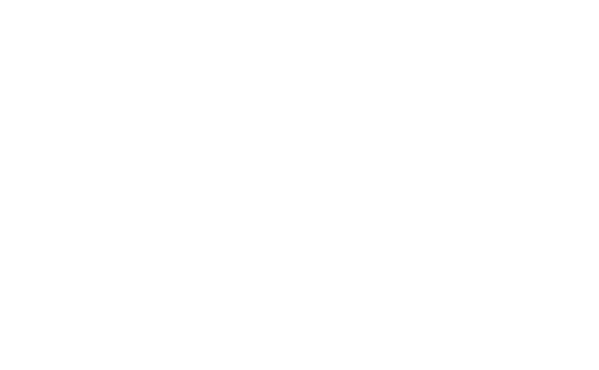 bladingcamp-logo-slider.png